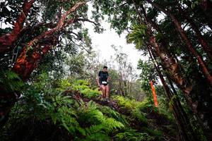 BIB: 
                            <button type="button" onclick="openModal(26201816)" class="btn btn-primary btn-sm float-right btn-popup" data-toggle="modal" data-target=".modal-high-quality">
                        <i class="fas fa-shopping-cart"></i> Add to Cart
                    </button>
                                            <button type="button" onclick="isThisMe(26201816, true)" class="btn btn-success btn-sm float-right btn-popup btn-isme hidden" data-toggle="tooltip" data-placement="bottom" title="นี่คือรูปของคุณใช่ไหม คลิกที่นี่เพื่อเอาเข้าอัลบั้ม">
                        <i class="fas fa-plus"></i> Add to album
                    </button>
                    <button type="button" onclick="isThisMe(26201816, false)" class="btn btn-warning btn-sm float-right btn-popup btn-isnotme hidden">
                        <i class="fas fa-ban"></i> Remove from album
                    </button>